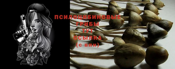 соль ск Осташков