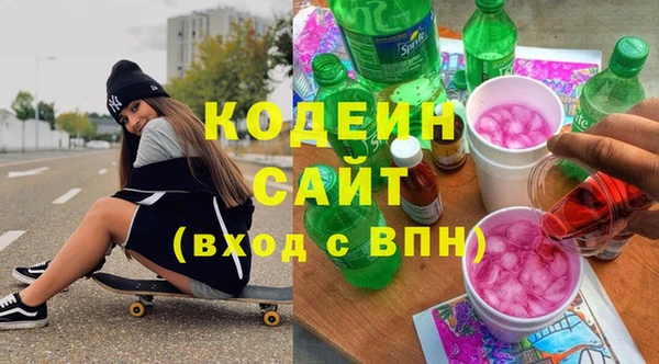 индика Осинники
