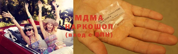 индика Осинники