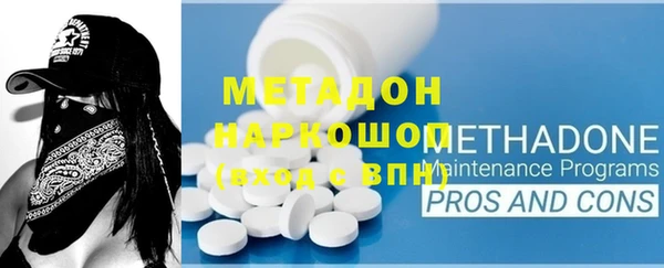 индика Осинники