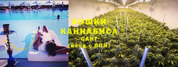 индика Осинники