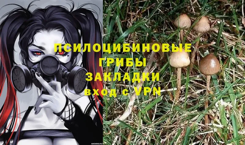 даркнет сайт  кракен вход  Галлюциногенные грибы Magic Shrooms  Краснозаводск 